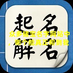 众多猪宝名字网站中，哪个能真正帮到我 